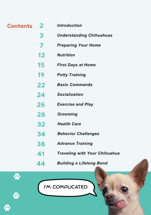 Chihuahua Puppy Guide